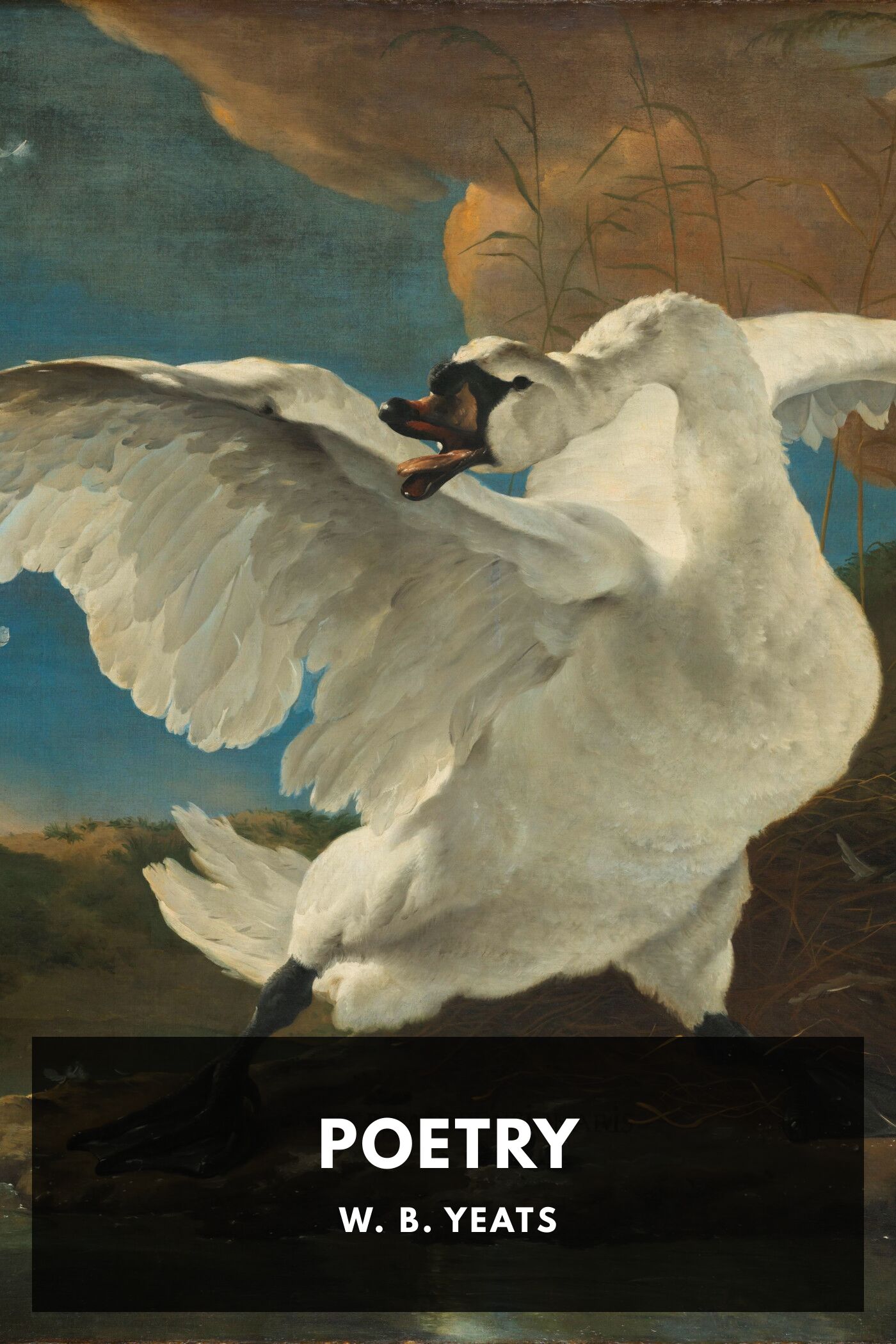 The Collected Works in Verse and Prose of William Butler Yeats, Vol. 1 (of 8) Poems Lyrical and Narrative